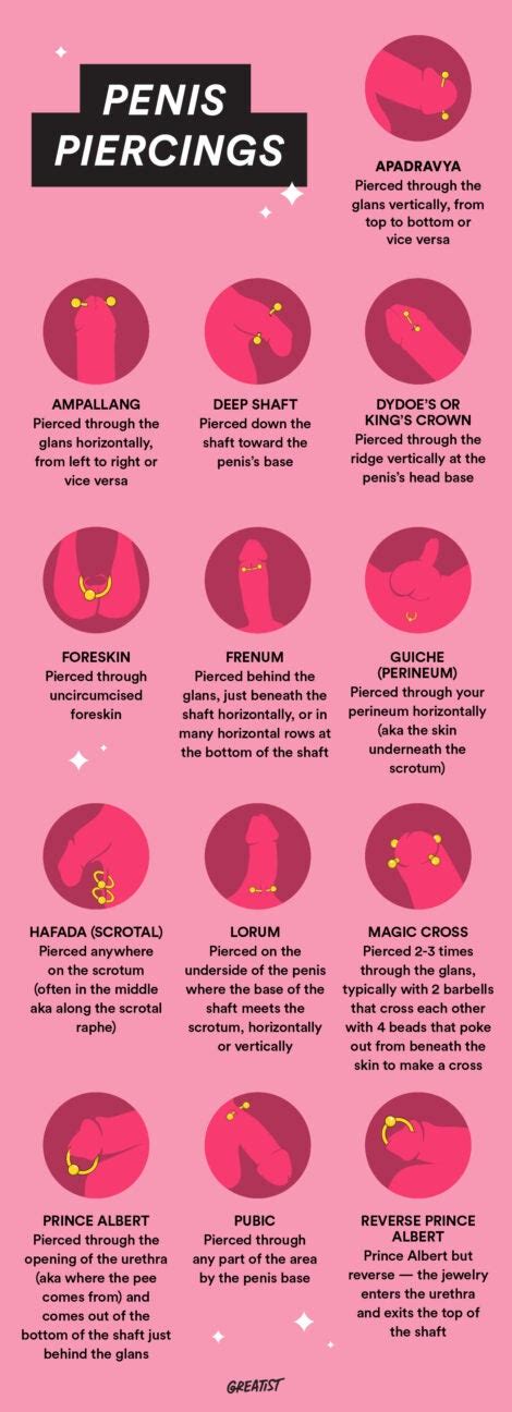 Penis Piercing: 13 Types, Sexual Benefits, Pain,。